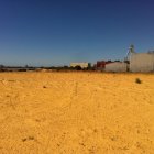 thumbnails/010-P19.JPG.small.jpeg